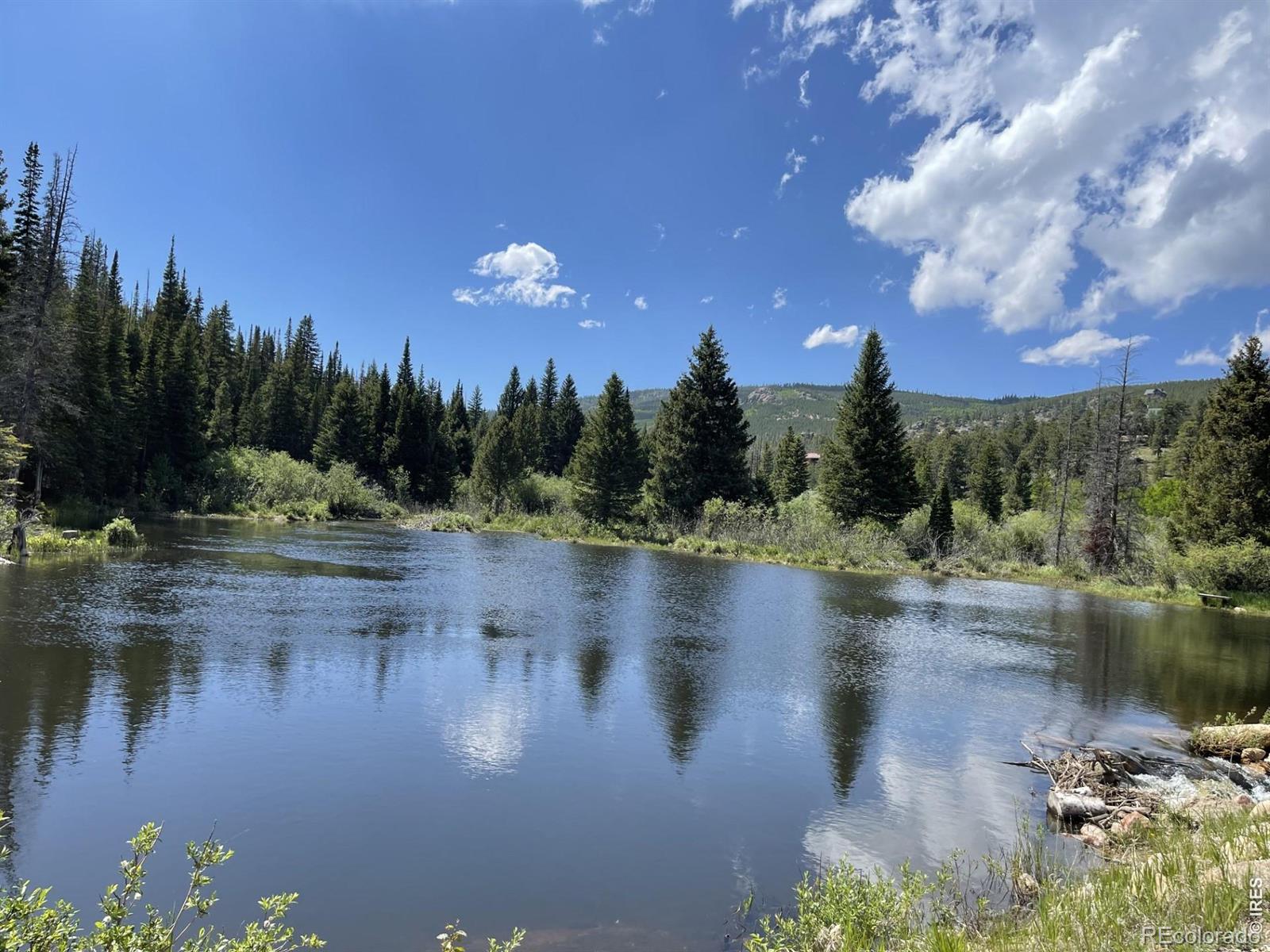 66 Piegan Court Red Feather Lakes CO 80545