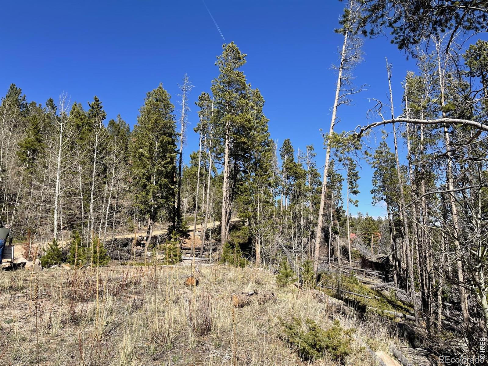 66 Piegan Court Red Feather Lakes CO 80545
