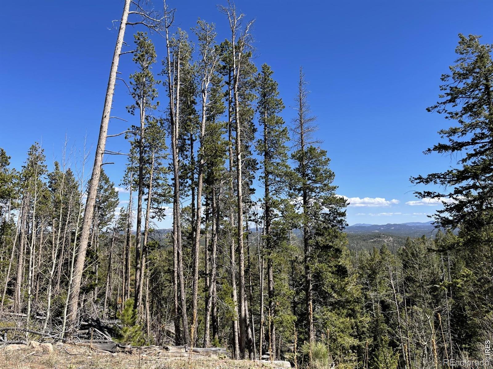 66 Piegan Court Red Feather Lakes CO 80545