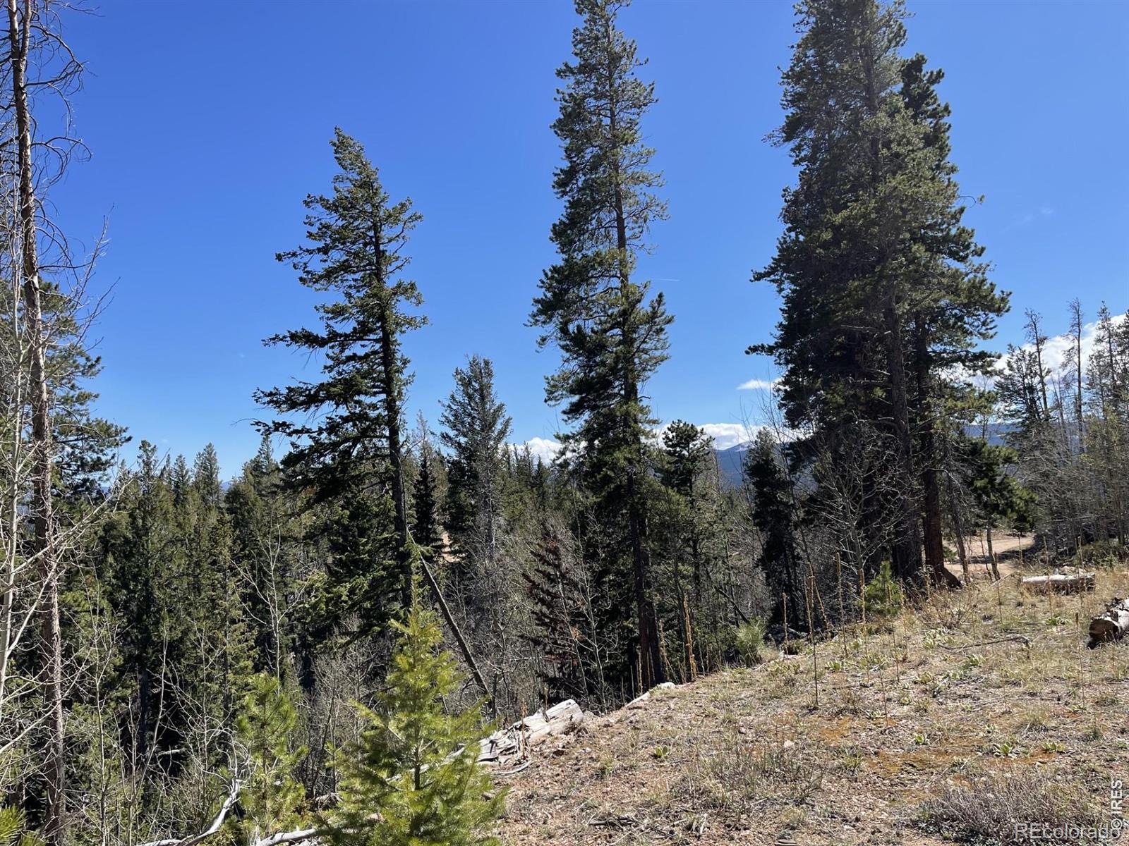 66 Piegan Court Red Feather Lakes CO 80545