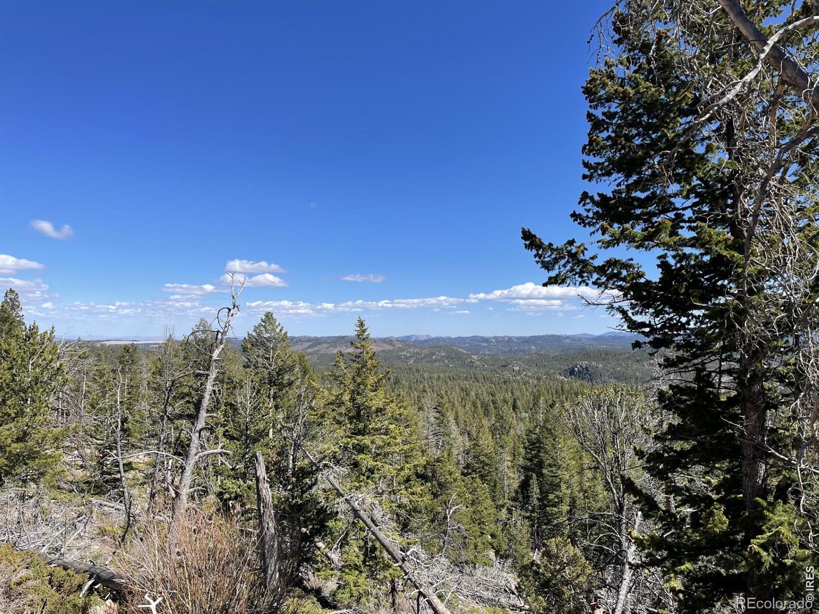 66 Piegan Court Red Feather Lakes CO 80545