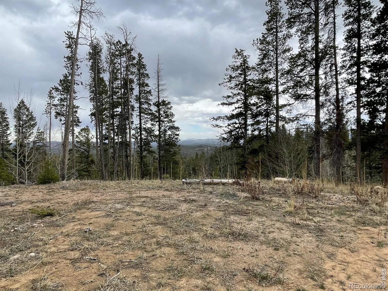 66 Piegan Court Red Feather Lakes CO 80545