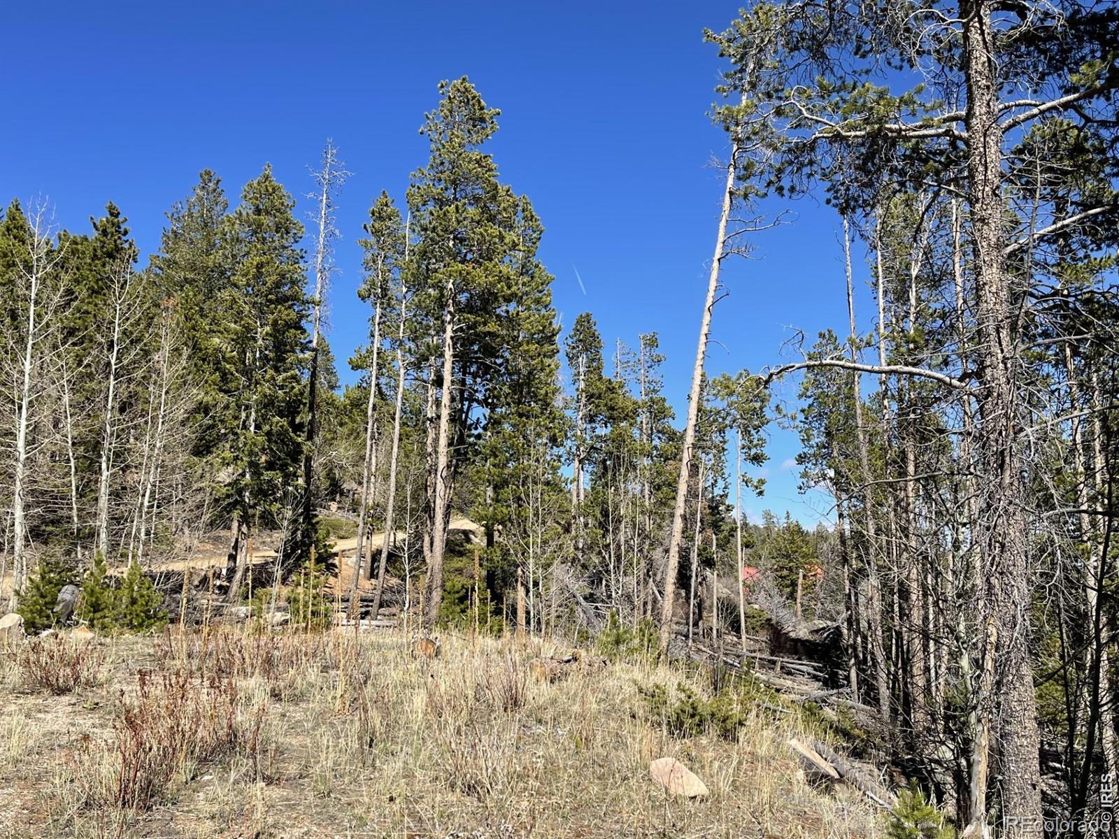 66 Piegan Court Red Feather Lakes CO 80545
