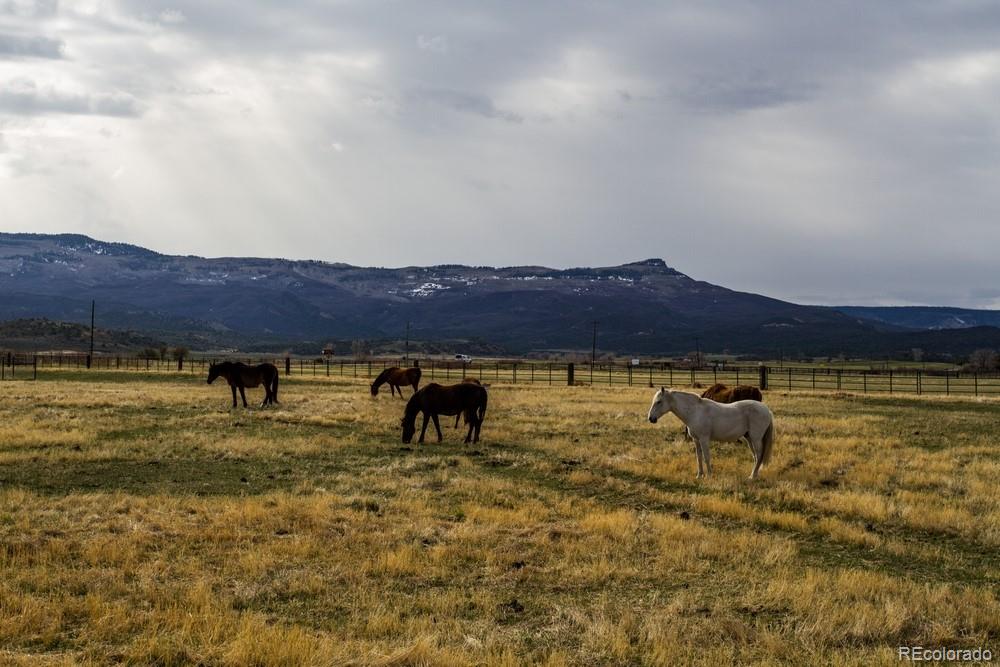 1071 Black Canyon Road Crawford CO 81415