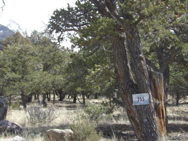 255 Baca Grant Way Crestone CO 81131
