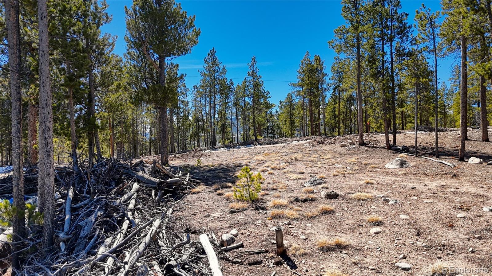 1335 Sequoia Drive Leadville CO 80461