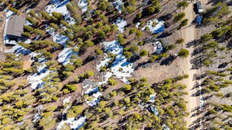 1335 Sequoia Drive Leadville CO 80461