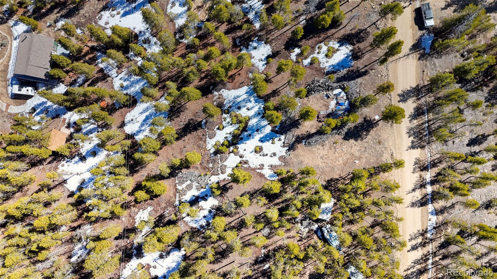 1335 Sequoia Drive Leadville CO 80461