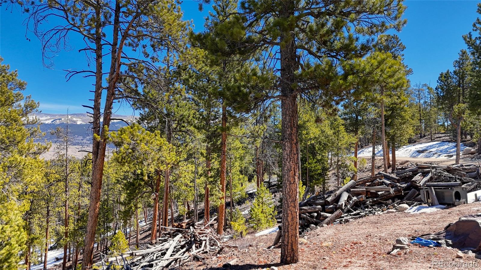 1335 Sequoia Drive Leadville CO 80461