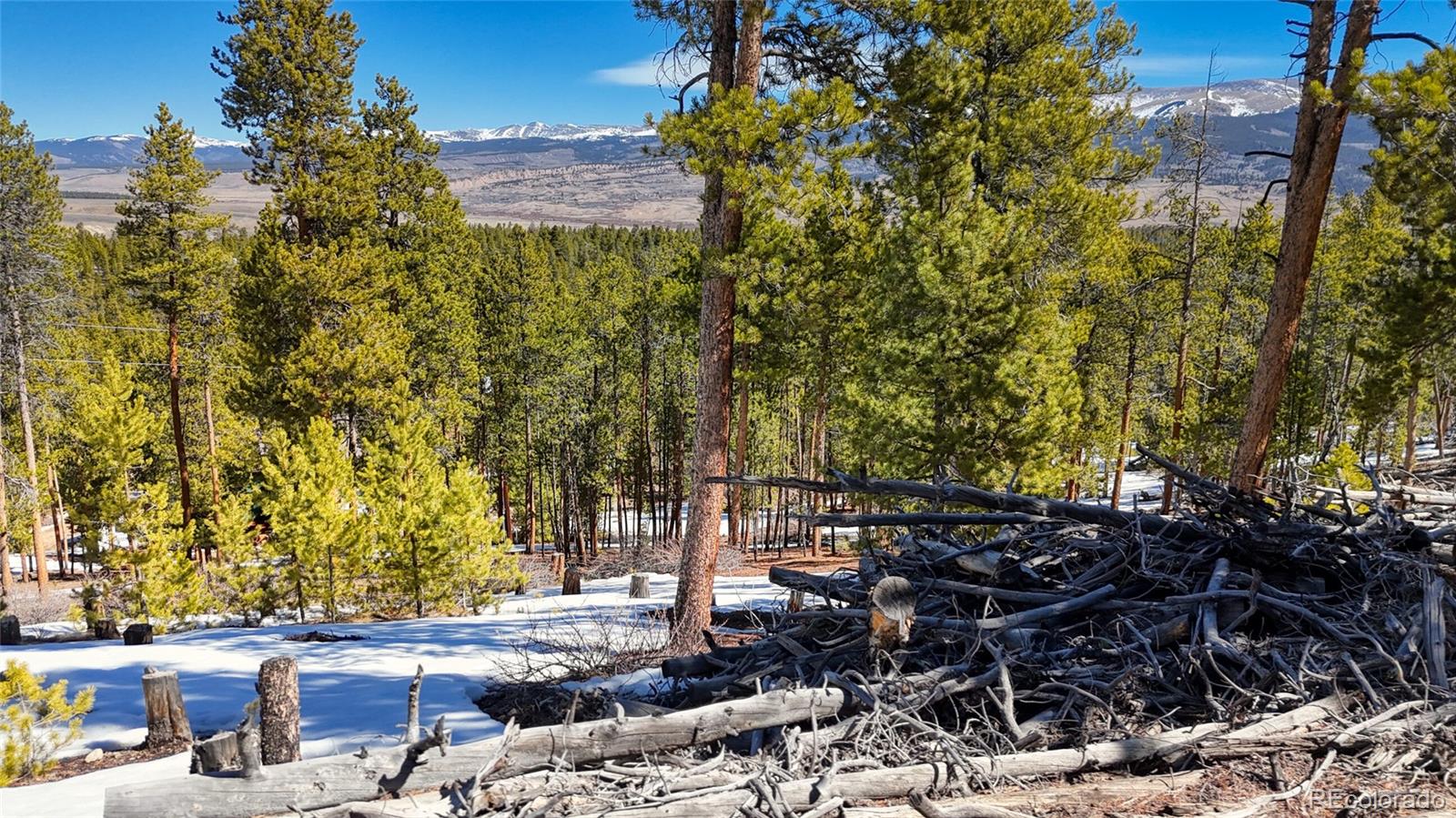 1335 Sequoia Drive Leadville CO 80461