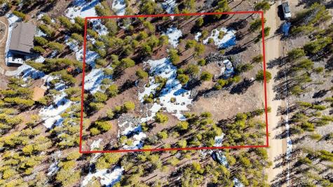 1335 Sequoia Drive Leadville CO 80461