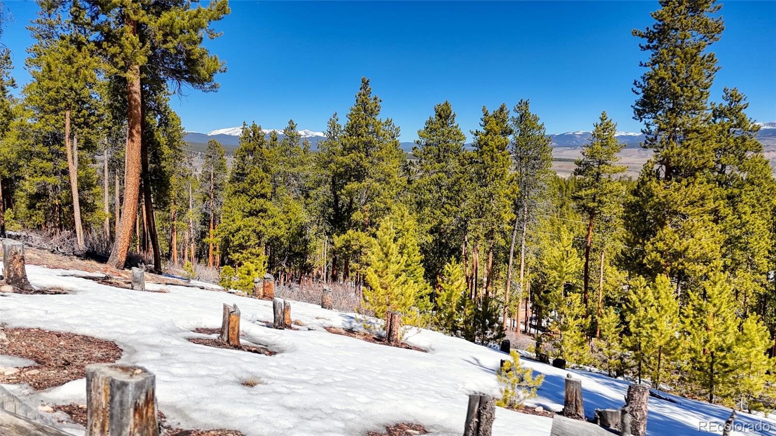 1335 Sequoia Drive Leadville CO 80461