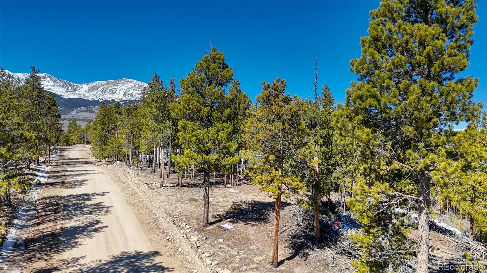 1335 Sequoia Drive Leadville CO 80461