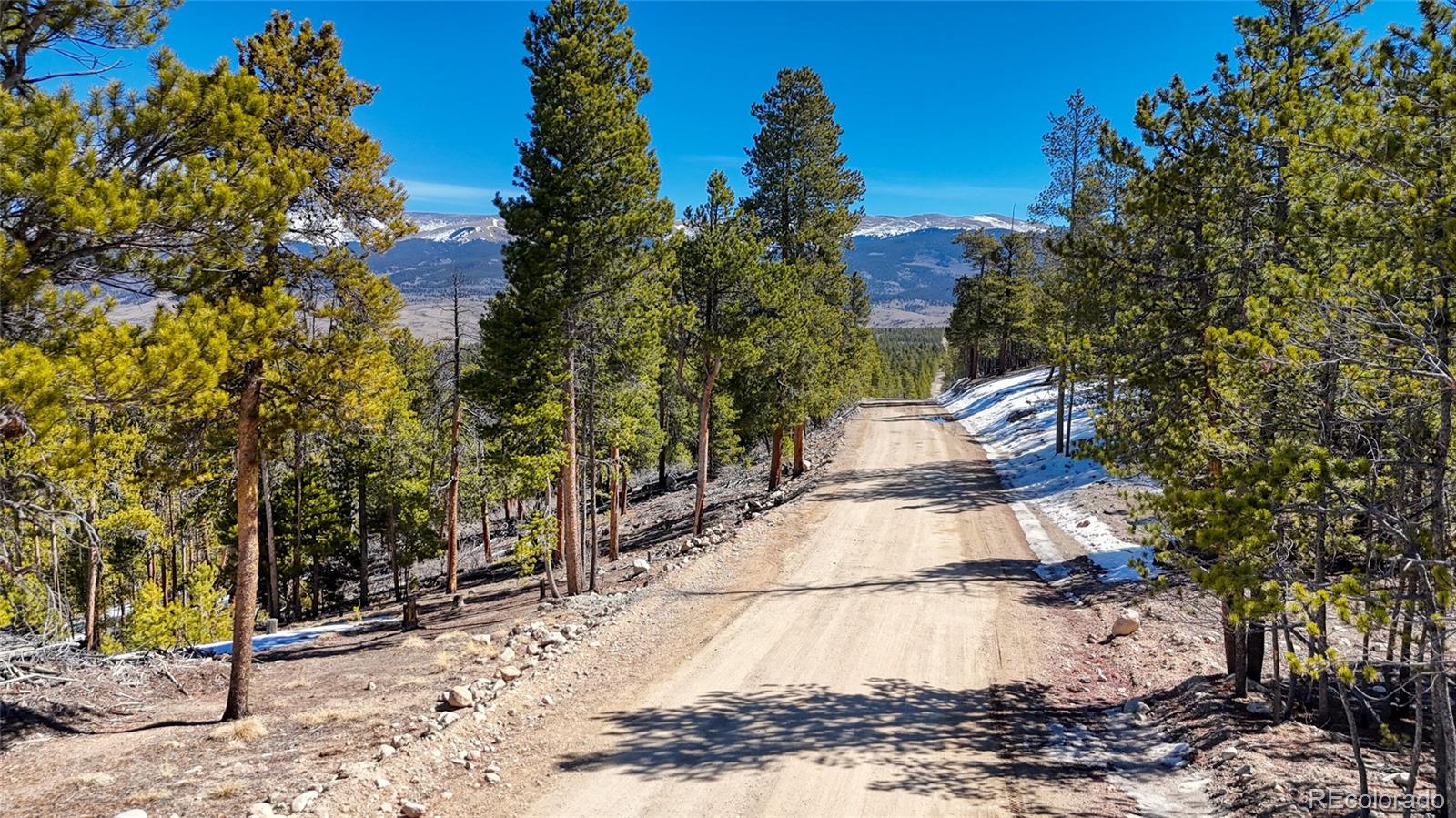 1335 Sequoia Drive Leadville CO 80461