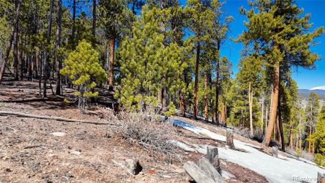 1335 Sequoia Drive Leadville CO 80461