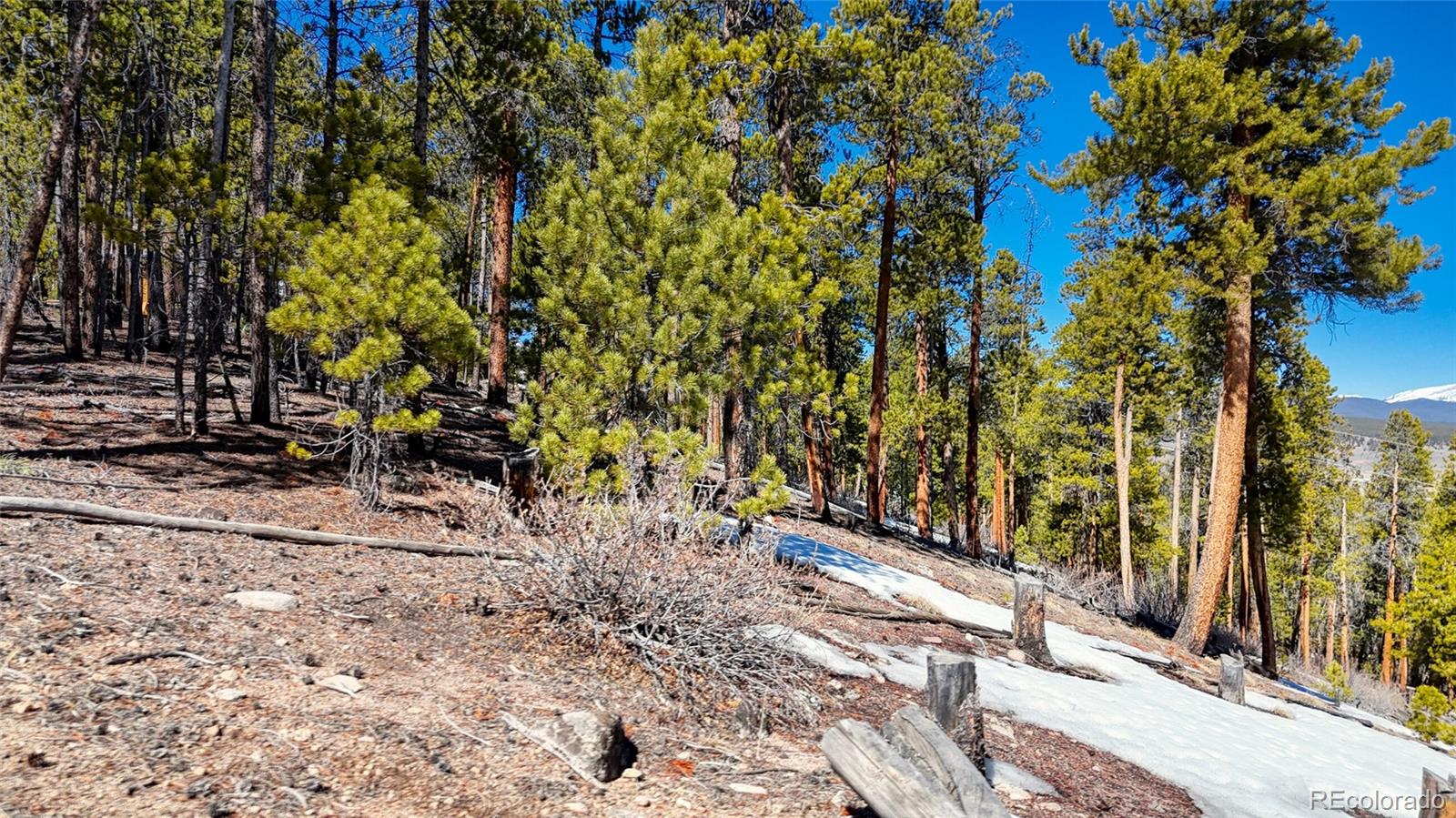 1335 Sequoia Drive Leadville CO 80461