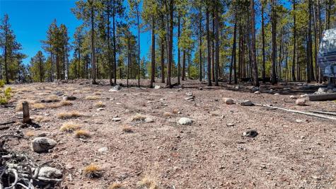 1335 Sequoia Drive Leadville CO 80461