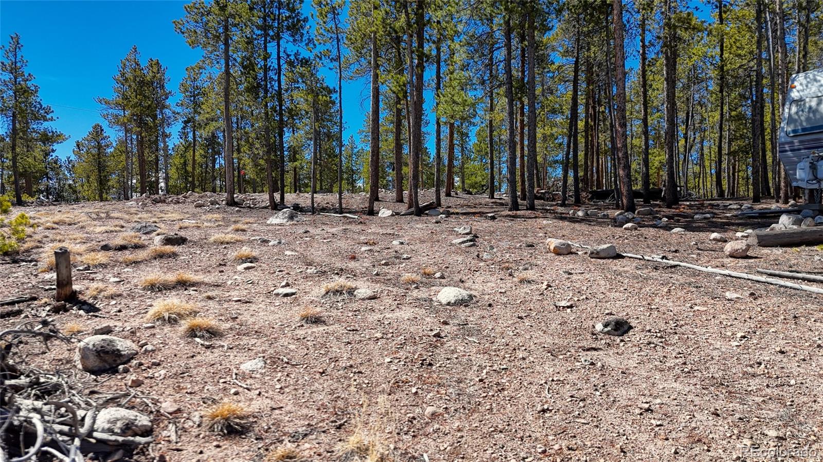1335 Sequoia Drive Leadville CO 80461