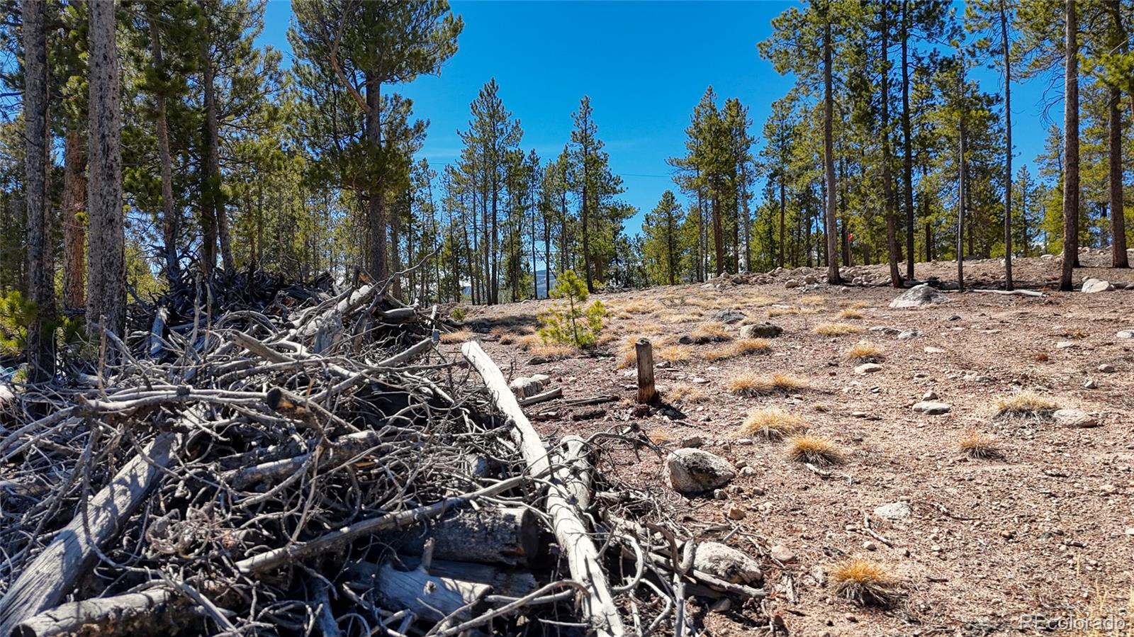1335 Sequoia Drive Leadville CO 80461
