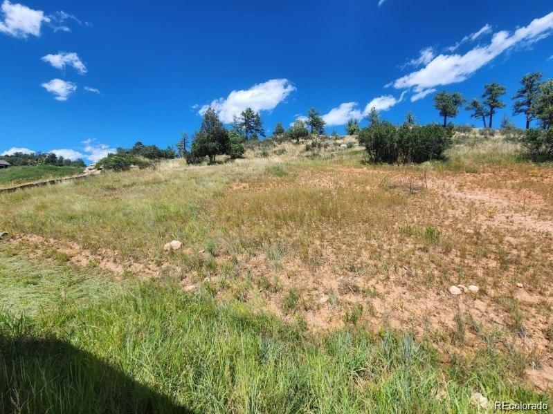 4251 Mohawk Drive Larkspur CO 80118