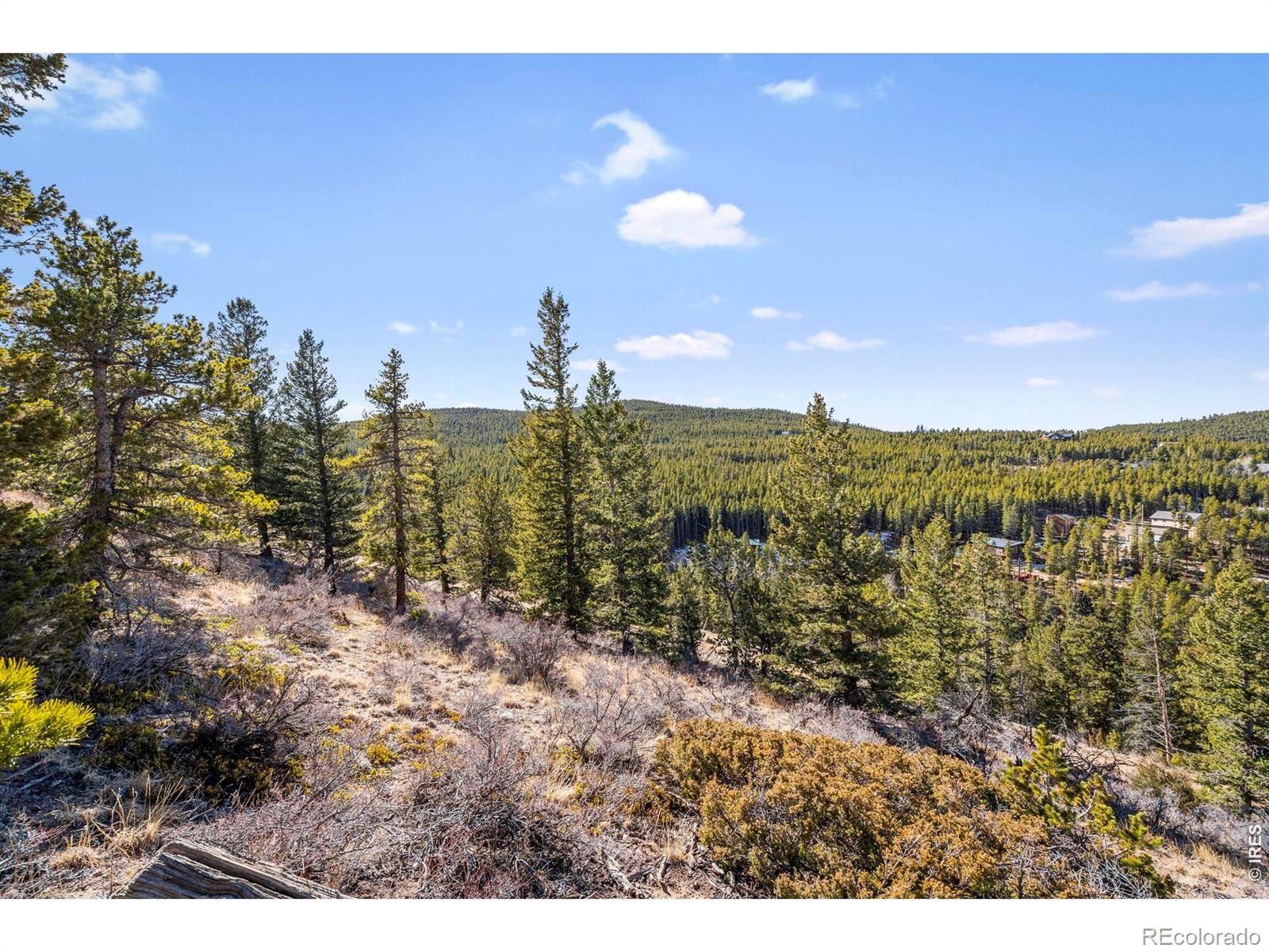 58 Doe Trail Nederland CO 80466