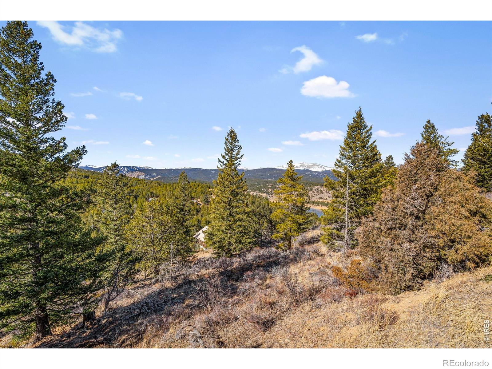 58 Doe Trail Nederland CO 80466