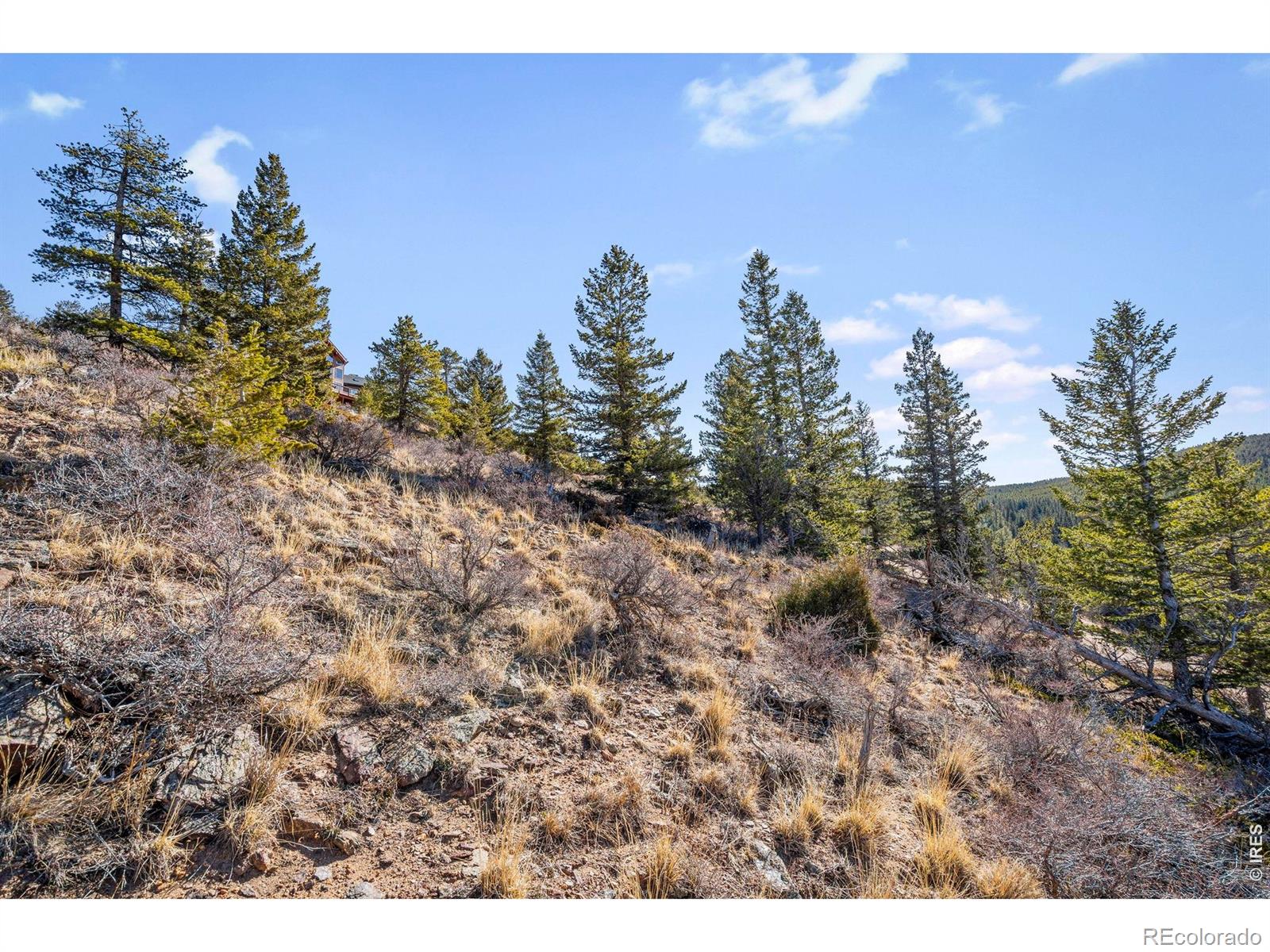 58 Doe Trail Nederland CO 80466