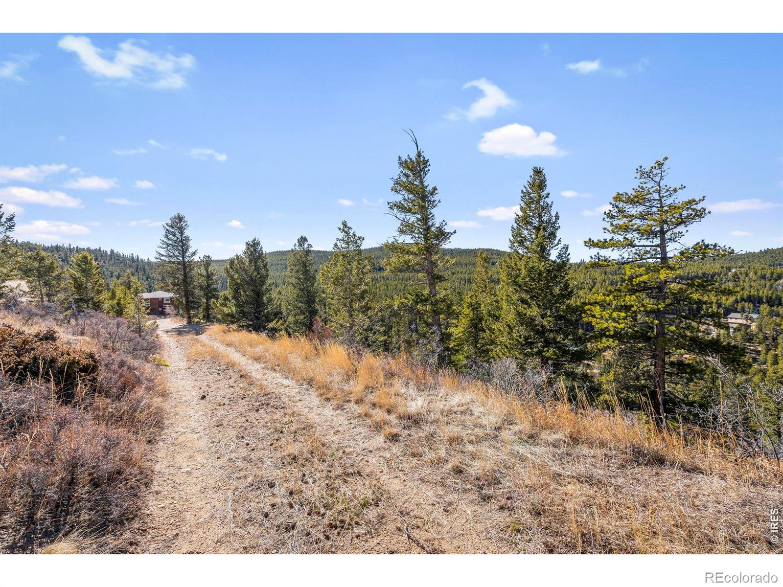 58 Doe Trail Nederland CO 80466