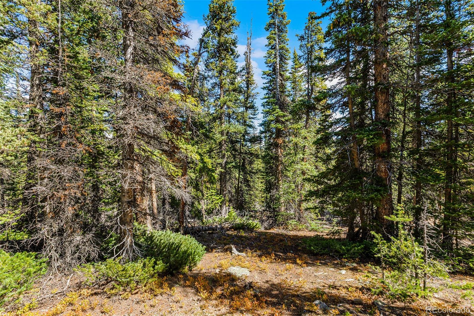 112 Sunshine Drive Fairplay CO 80440