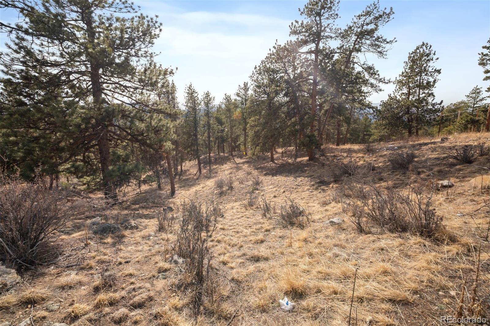 260 Bailey Drive Bailey CO 80421