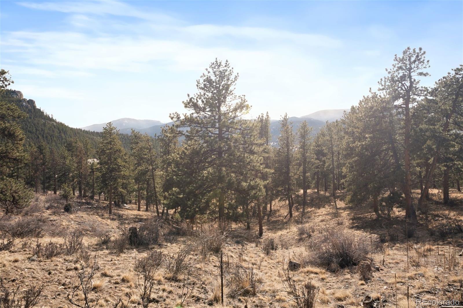 260 Bailey Drive Bailey CO 80421