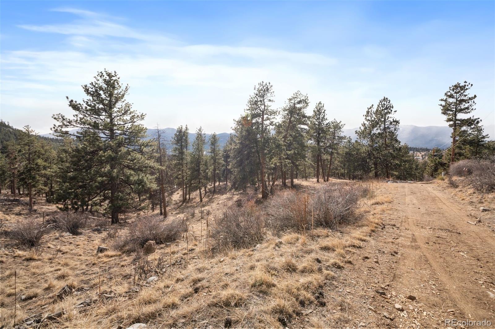 260 Bailey Drive Bailey CO 80421