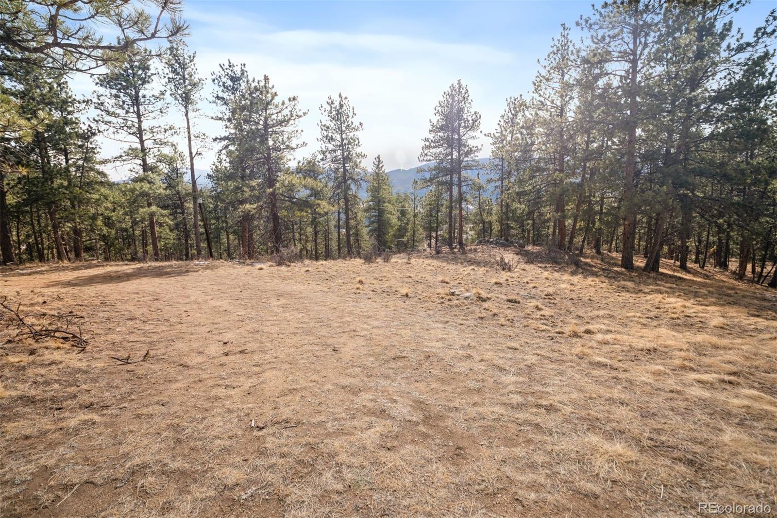 260 Bailey Drive Bailey CO 80421