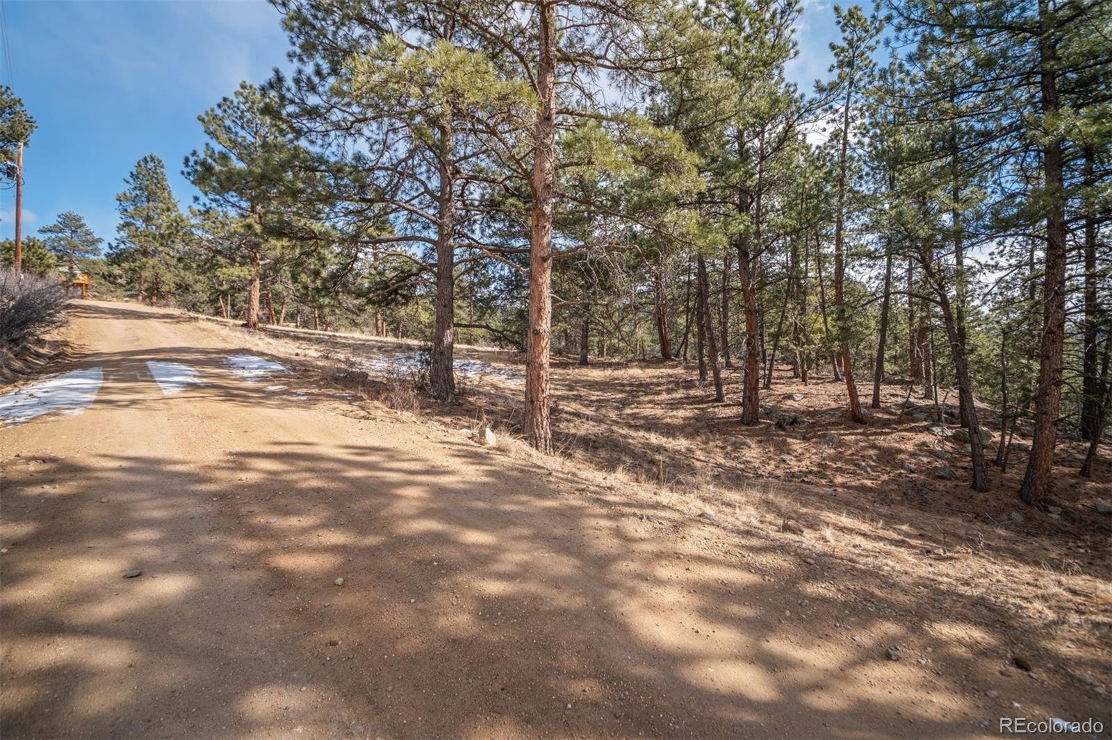 260 Bailey Drive Bailey CO 80421