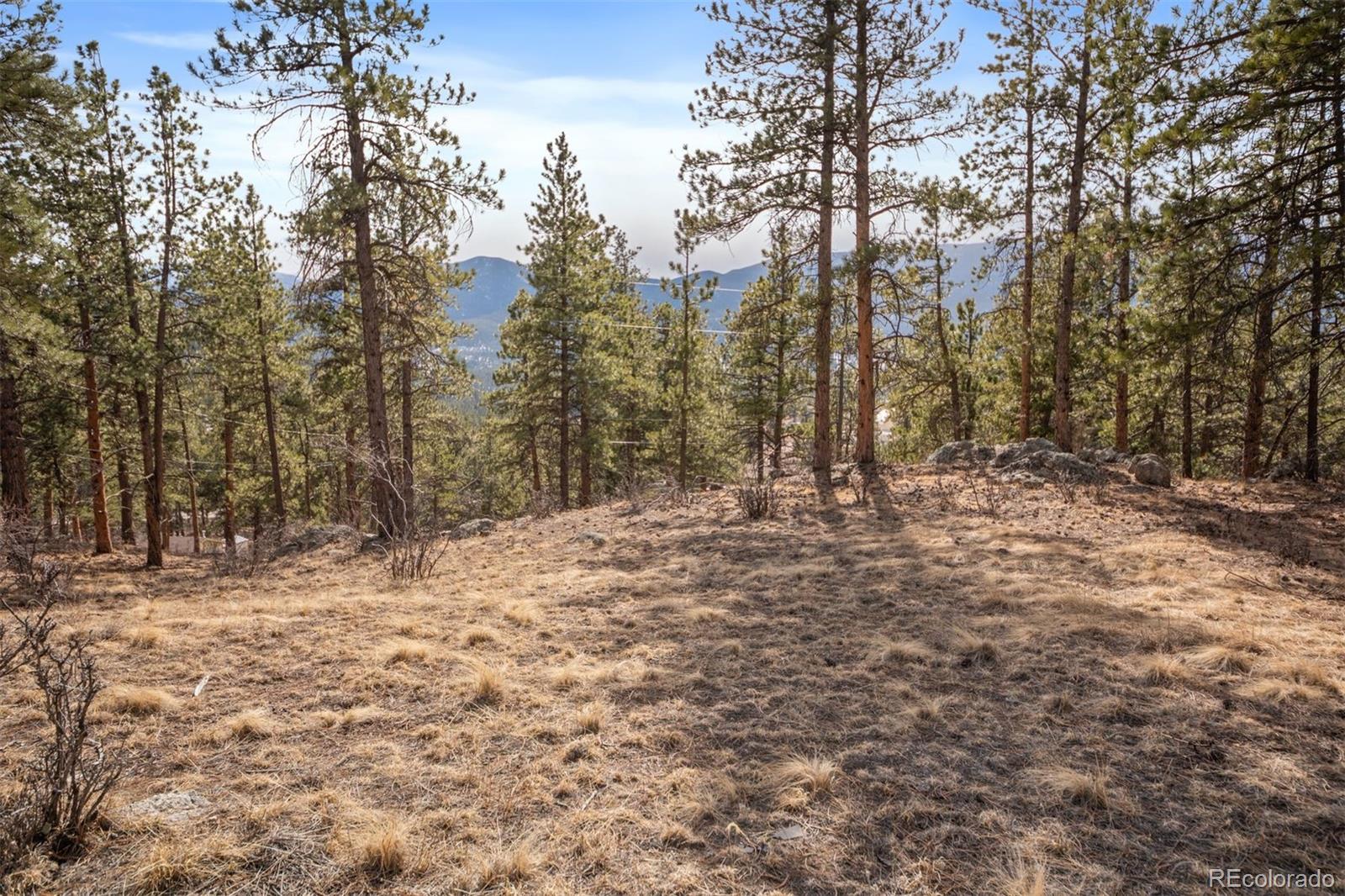 260 Bailey Drive Bailey CO 80421