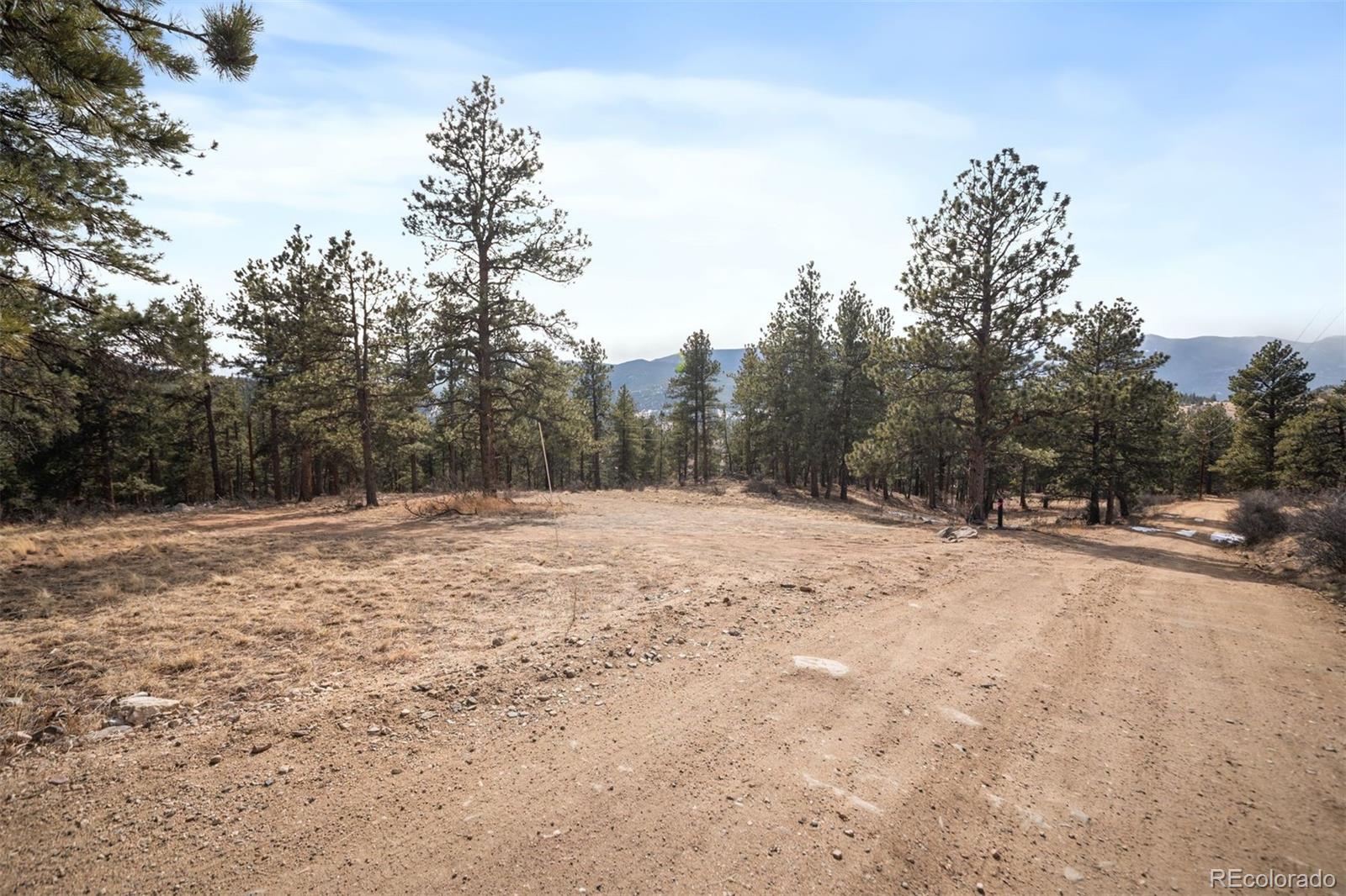 260 Bailey Drive Bailey CO 80421