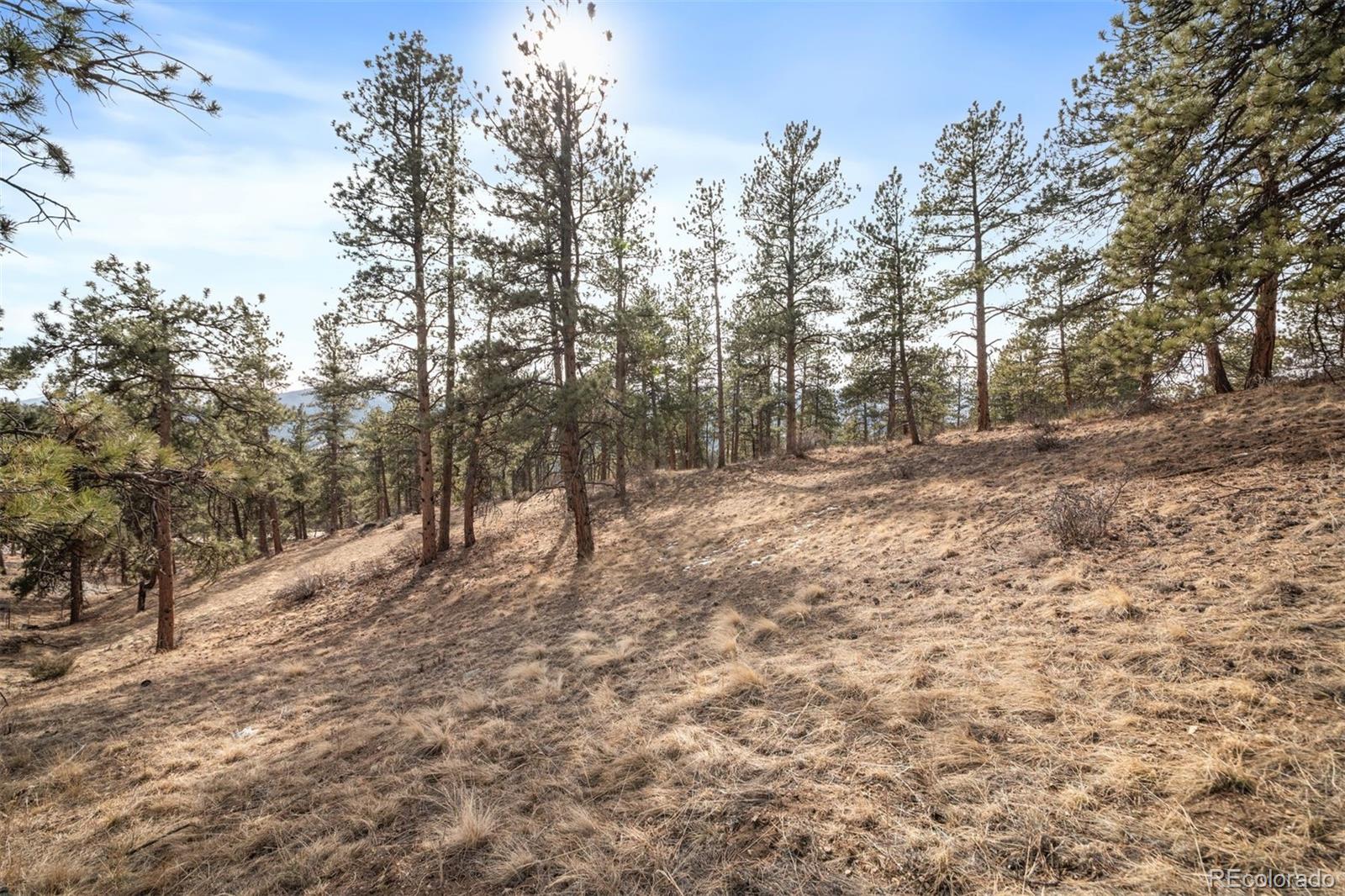 260 Bailey Drive Bailey CO 80421