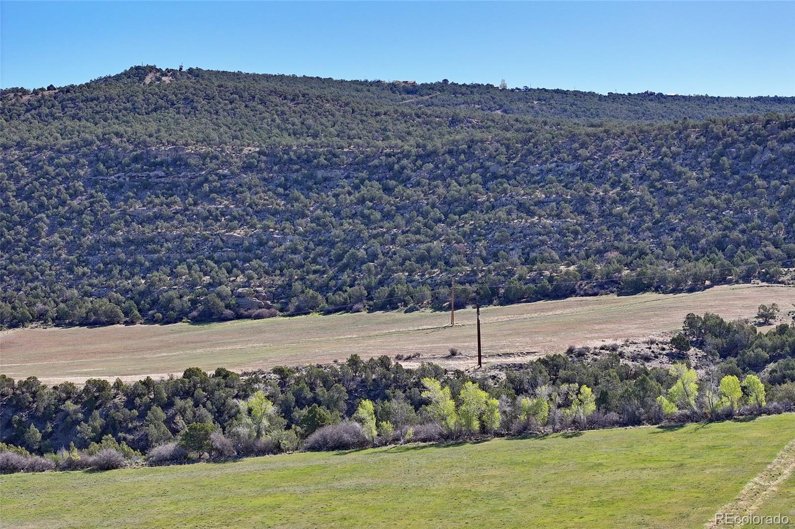 12482 54 7/10 Road Molina CO 81646