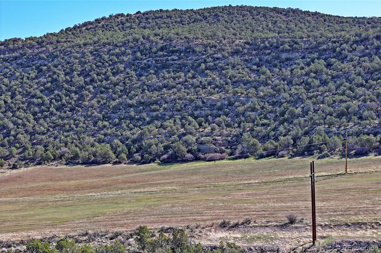 12482 54 7/10 Road Molina CO 81646