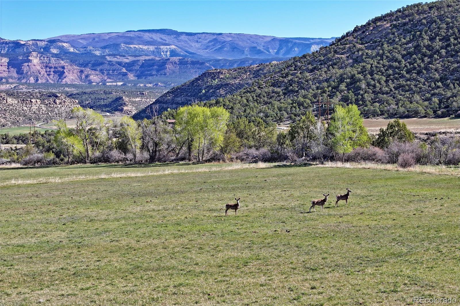 12482 54 7/10 Road Molina CO 81646