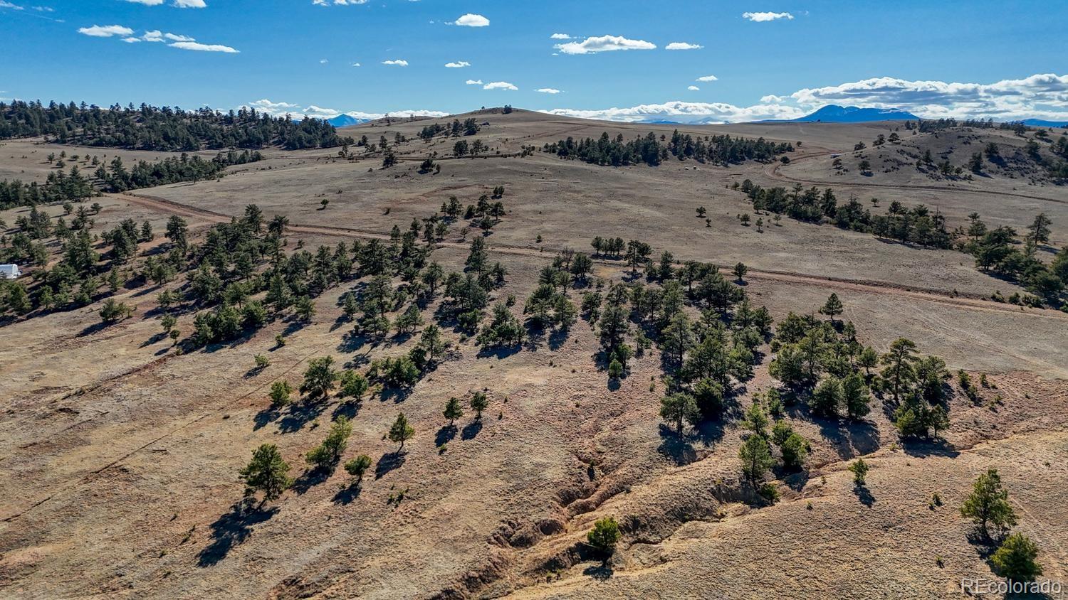 Lot 5103 Anasazi Road Hartsel CO 80449