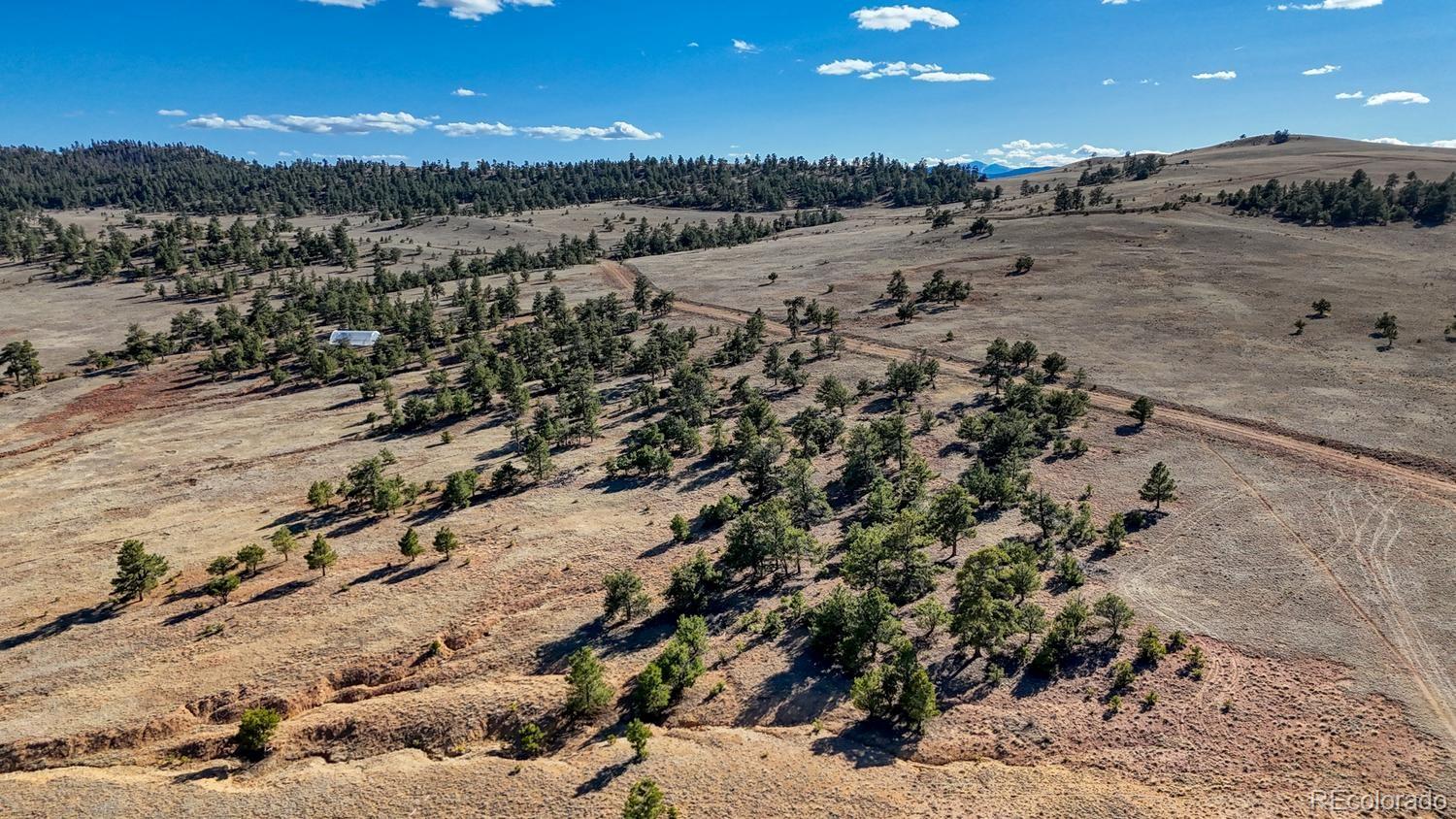Lot 5103 Anasazi Road Hartsel CO 80449