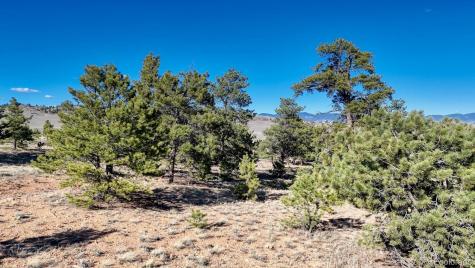 Lot 5103 Anasazi Road Hartsel CO 80449