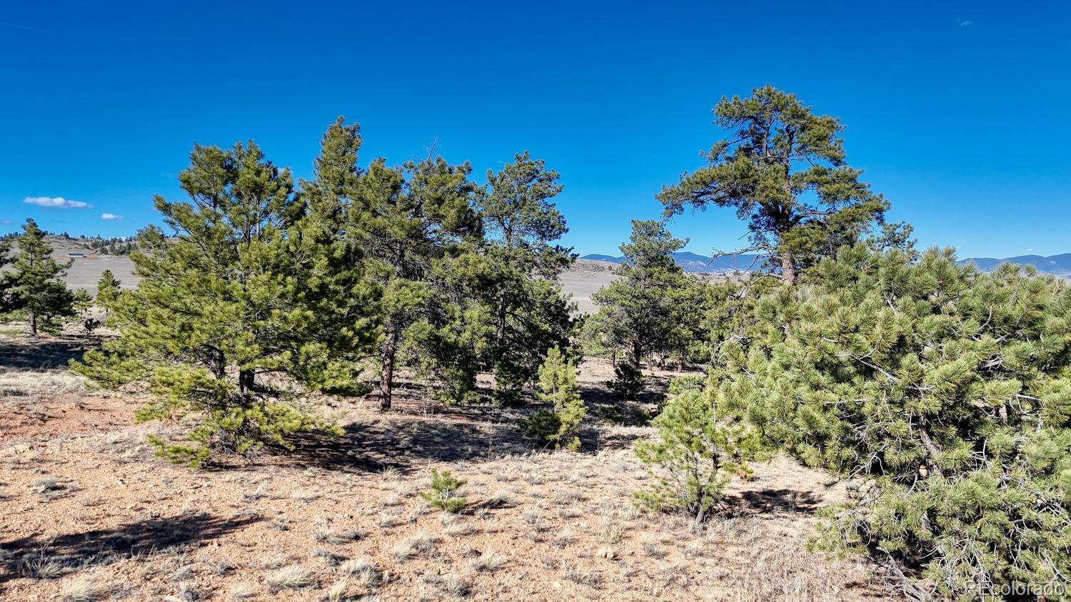 Lot 5103 Anasazi Road Hartsel CO 80449
