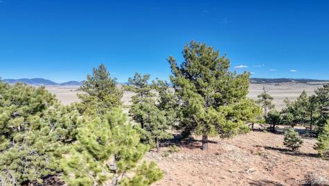 Lot 5103 Anasazi Road Hartsel CO 80449