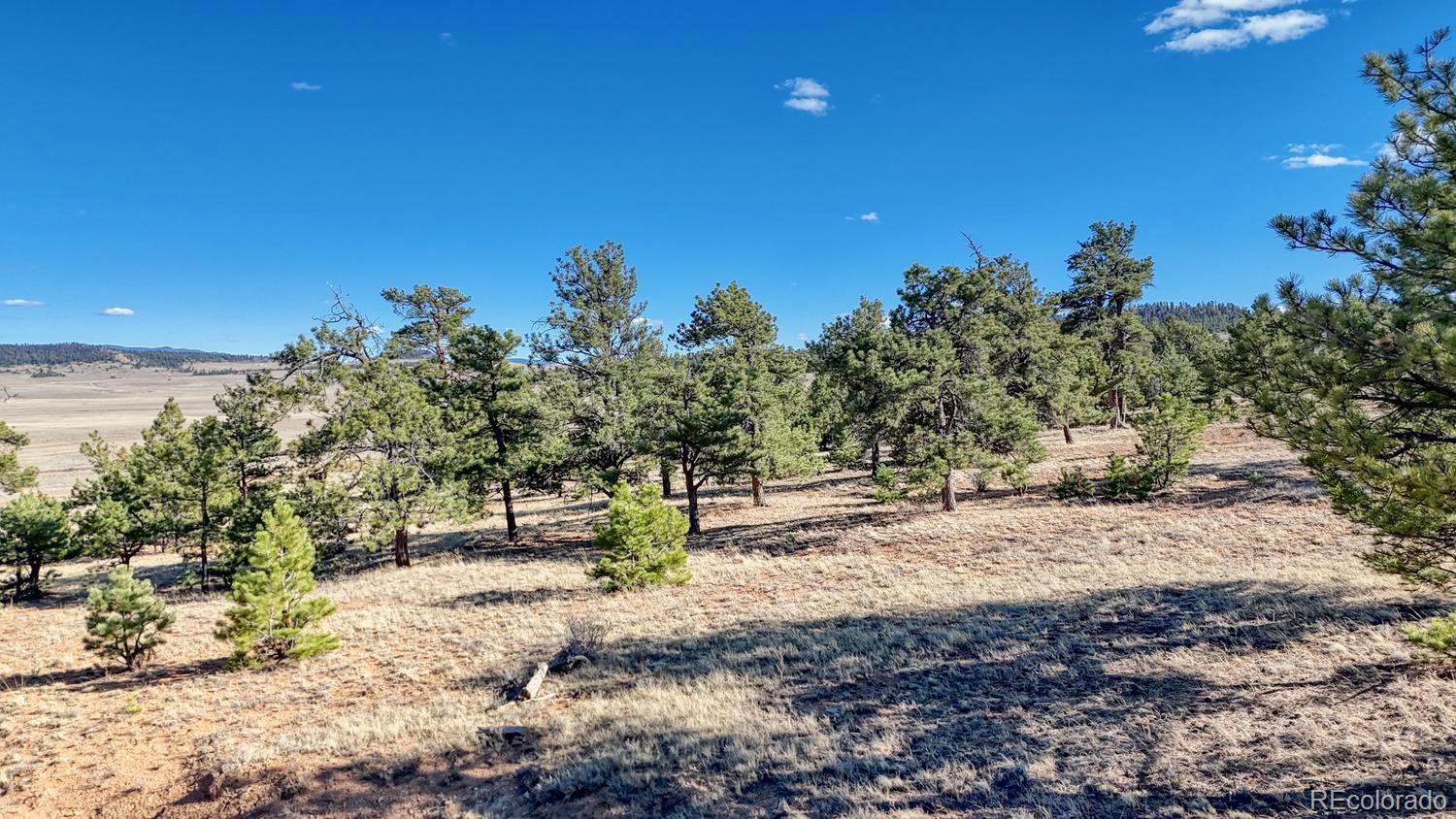 Lot 5103 Anasazi Road Hartsel CO 80449