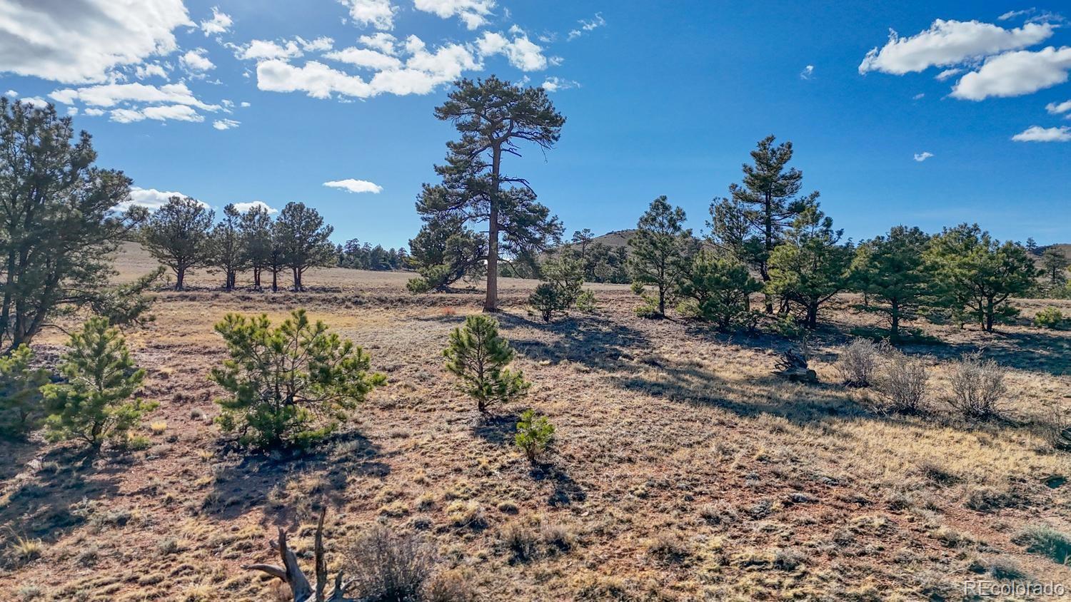 Lot 5103 Anasazi Road Hartsel CO 80449