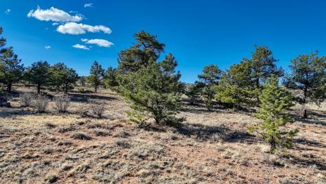 Lot 5103 Anasazi Road Hartsel CO 80449