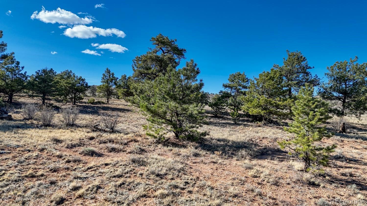 Lot 5103 Anasazi Road Hartsel CO 80449