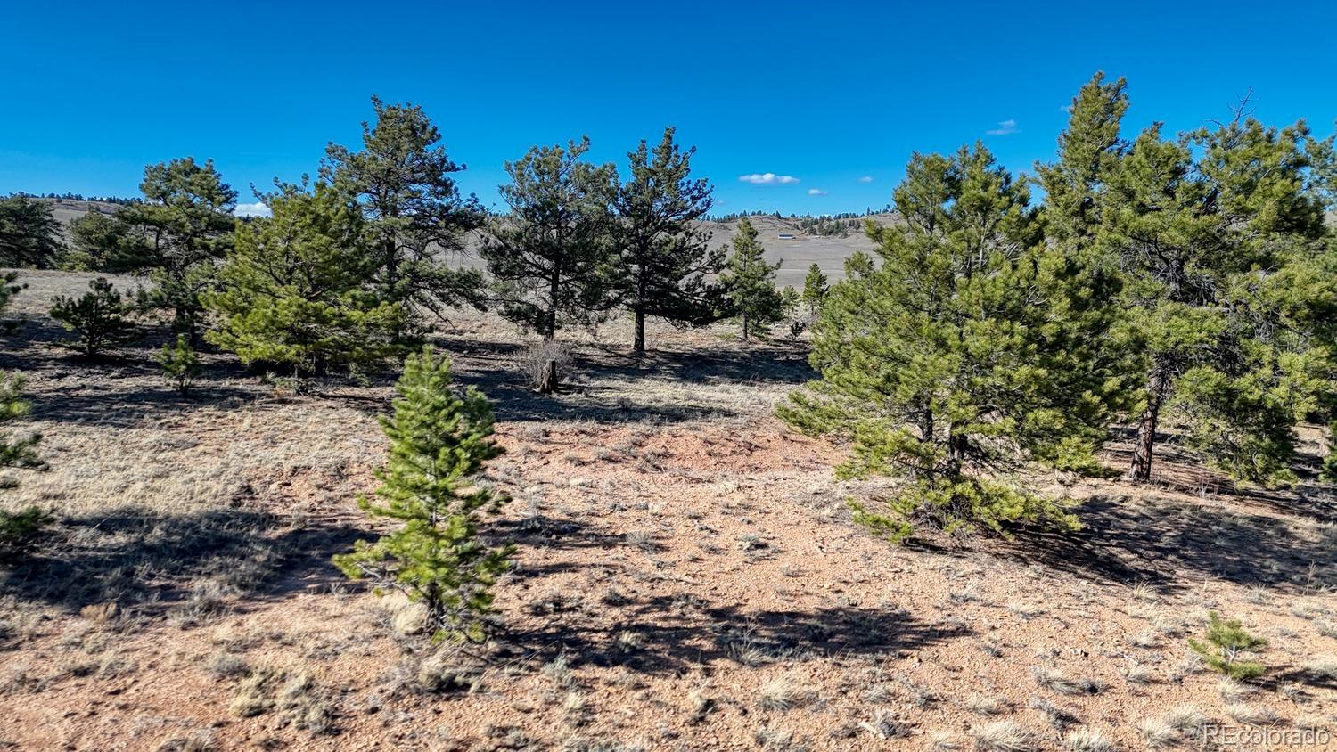 Lot 5103 Anasazi Road Hartsel CO 80449